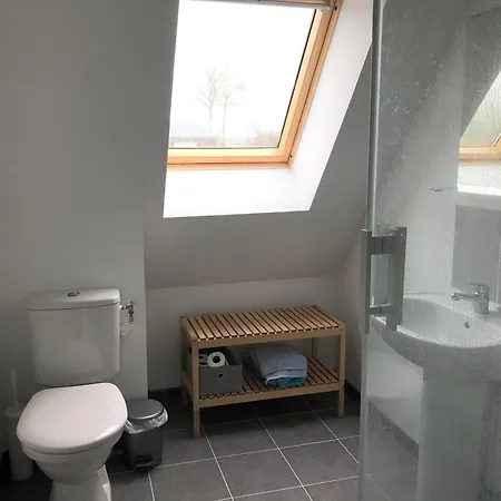 Cedre Varengeville-sur-Mer