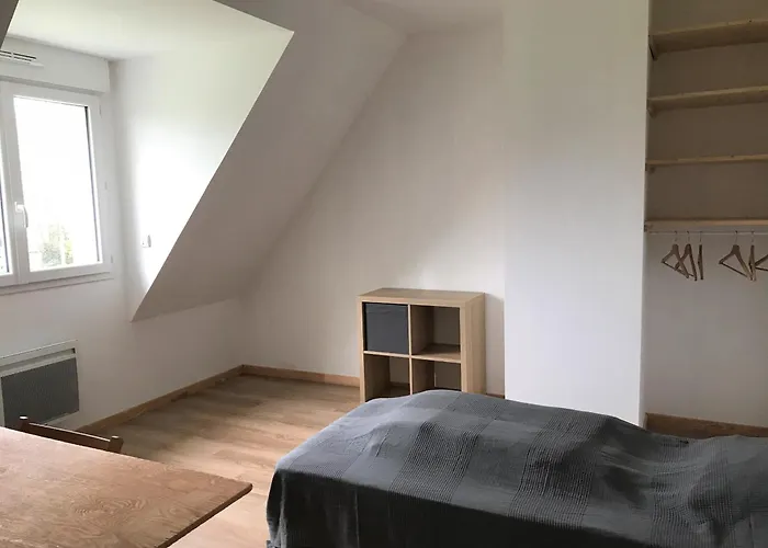 Cedre * Varengeville-sur-Mer