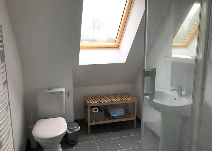 Cedre Varengeville-sur-Mer